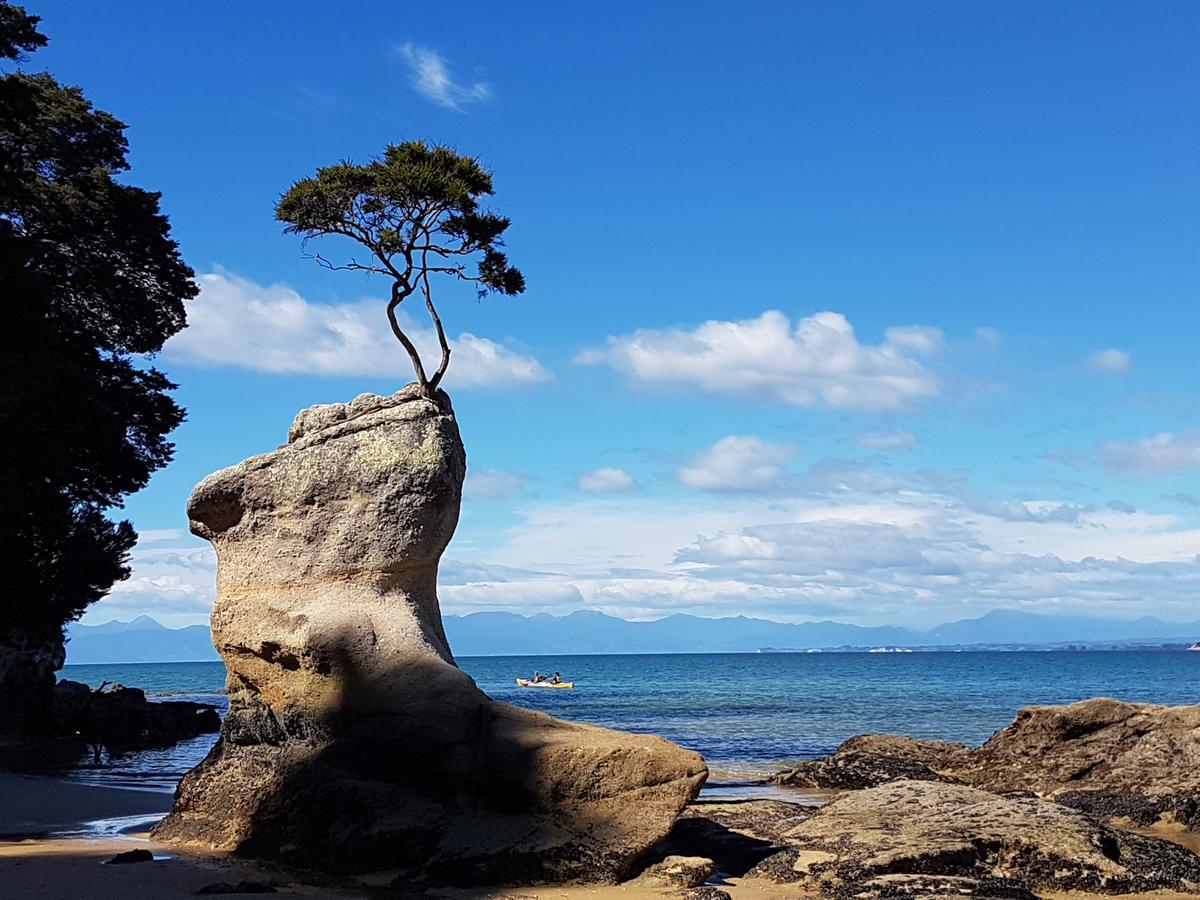 Abel Tasman Sands Bnb Riwaka Ngoại thất bức ảnh